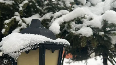 Во Владимирской области вопреки ночным заморозкам растает снег