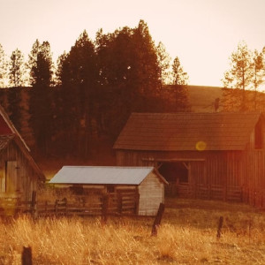 Во Владимирской области официально назвали самую красивую деревню