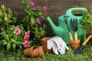 В Петушках председателя СНТ будут судить за присвоение 2 млн рублей