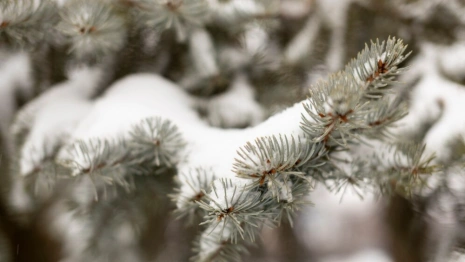 Прогноз погоды во Владимире и области на 7 марта