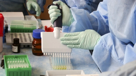 Во Владимирской области дали прогноз выхода на плато по заболеваемости ковидом 