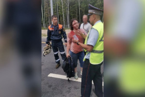 Во Владимирской области в аварии на М-12 пострадали двое взрослых и ребенок
