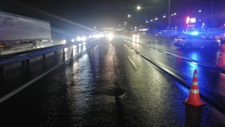 На трассе М-7 под Покровом автомобилист сбил женщину с 2-годовалым ребенком на руках