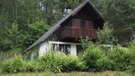 Во Владимирской области рецидивист из Москвы ограбил 18 дачных домов