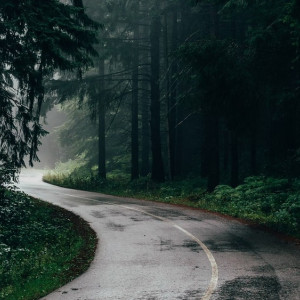 Владимирскую область накроет штормовая «Зельда»