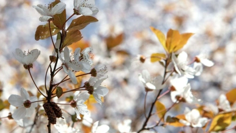 Прогноз погоды во Владимирской области на 7 мая
 