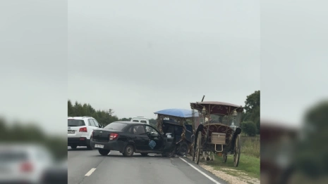 В Суздале легковушка въехала в гужевую повозку