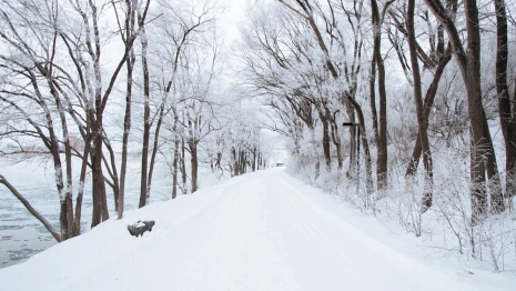 Прогноз погоды во Владимирской области на 17 января