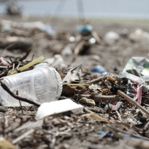 Во Владимирской области у железной дороги выросла гора мусора