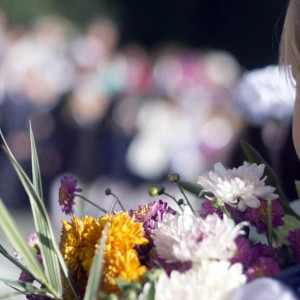 Во Владимирских школах появятся терминалы оплаты школьного питания без комиссии