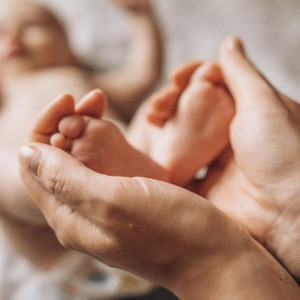 Во Владимирской области 40 семей получили маткапитал за рождение двойни