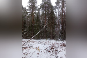 Ледяной дождь обесточил юго-восток Владимирской области