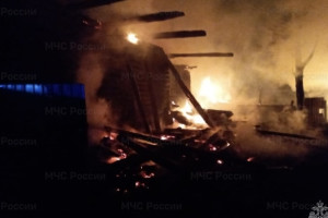 При пожаре в частном доме в Муроме погибла женщина и пострадал мужчина