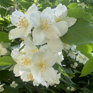 Во Владимирской области в августе придет жара до +30 градусов