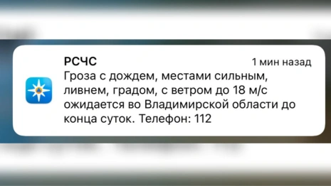 МЧС разослало экстренное предупреждение о ливне и граде во Владимирской области