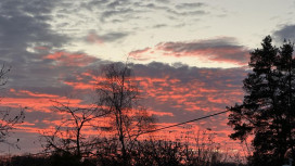 МЧС разослало срочное сообщение об угрозе атаки БПЛА во Владимирской области