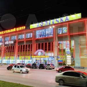 Во Владимире на продажу за 455 млн рублей выставили ТЦ «Копеечка»