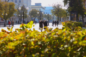Туристов во Владимирскую область хотят привлечь с помощью образа Ивана Грозного 
