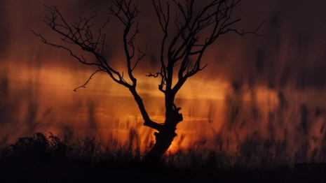 Во Владимирской области введут 4 класс пожарной опасности