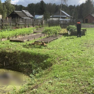 В селе под Собинкой 87-летняя бабушка утонула в маленьком частном пруду