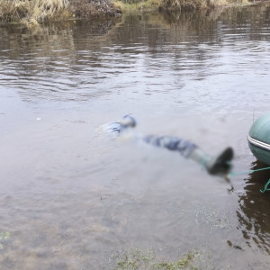 Во Владимирской области в Клязьме нашли труп рыбака
