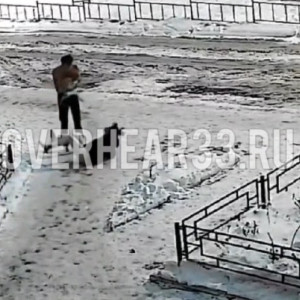 Во Владимире мать и отец подрались из-за годовалого ребенка