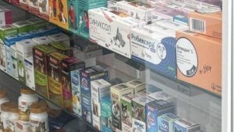 Во Владимирской области нашли нарушения в работе ветаптеки