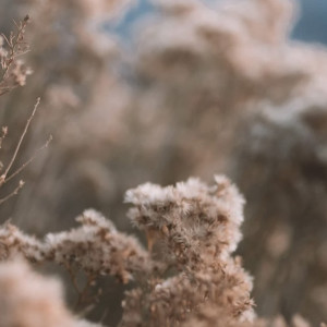 Жителям Владимирской области пообещали 9-градусное тепло