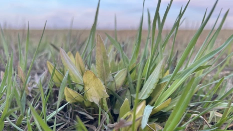 Во Владимирскую область придет тепло до +19 градусов и дождь