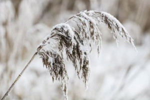 Во Владимирской области пообещали метель и ураган до 20 м/с