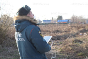 Во Владимирский области за поджигателями травы проследят беспилотники