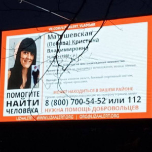 Во Владимире более 100 человек ищут 34-летнюю женщину