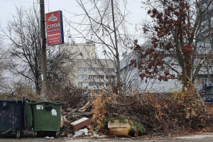 Замглавы Владимира оштрафовали за плохой вывоз мусора