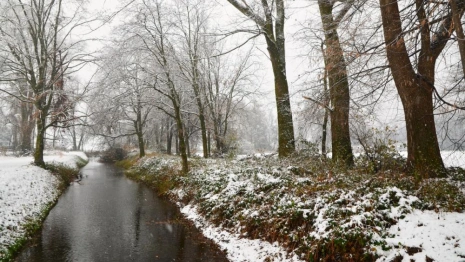 Прогноз погоды во Владимире и области на 27 апреля 2026 года