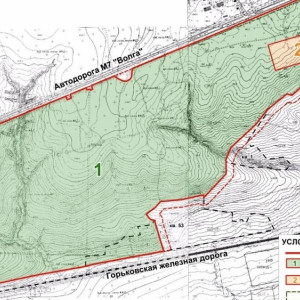 Проект дороги через парк «Дружба» во Владимире вынесли на общественные слушания