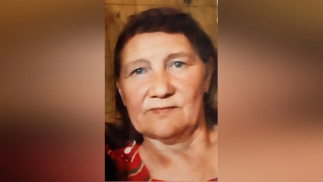 Жителей Владимирской области позвали на поиск заблудившейся в лесу пенсионерки с собакой 