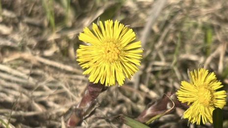 14 день второй седмицы Великого поста: что можно и нельзя 31 марта