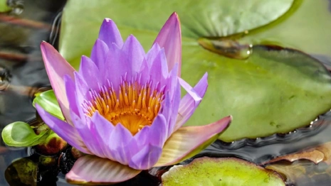 Обретение Креста Господня: что можно и чего нельзя делать 19 марта