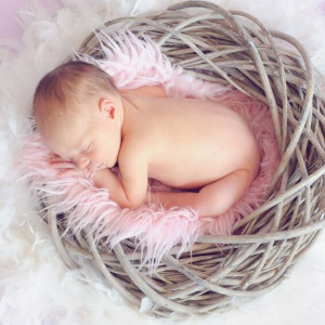 Рождаемость во Владимирской области за 5 лет рухнула на 30%