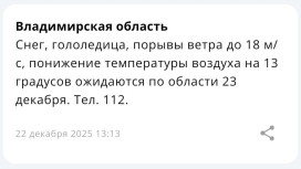 Во Владимирской области спрогнозировали морозы и гололедицу 23 декабря