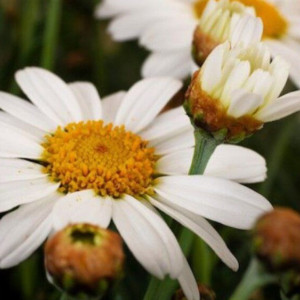 18 день Великого поста: что можно и нельзя 4 апреля