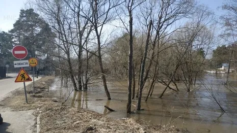 Во Владимирской области затопило 337 дворов и 8 участков дорог