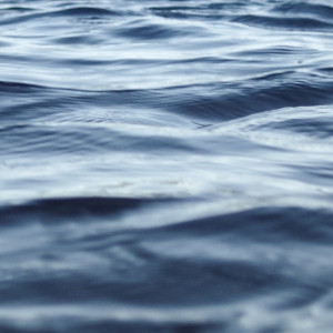 Во Владимирской области за купальный сезон утонули 25 человек