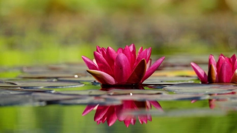 Прогноз погоды на 18 июня во Владимирской области