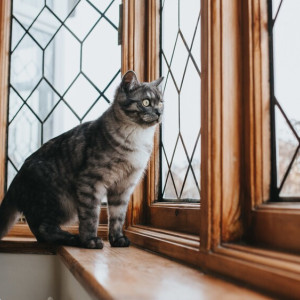 23 день Великого поста: что можно и нельзя 9 апреля