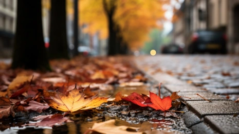 Прогноз погоды во Владимирской области на 31 октября