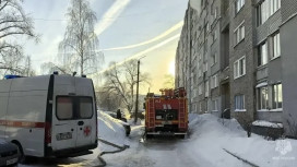 На пожаре в Муроме мужчина и женщина отравились угарным газом