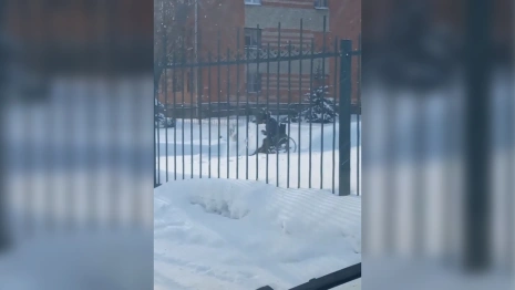 Во Владимире инвалид-колясочник расчистил дорогу у детского сада