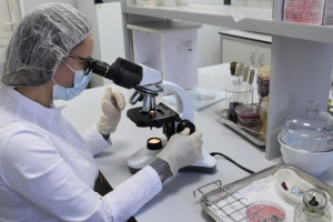 В пельменях владимирского производства нашли листерии