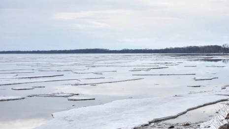Двое владимирских рыбаков провалились в полынью на Волге